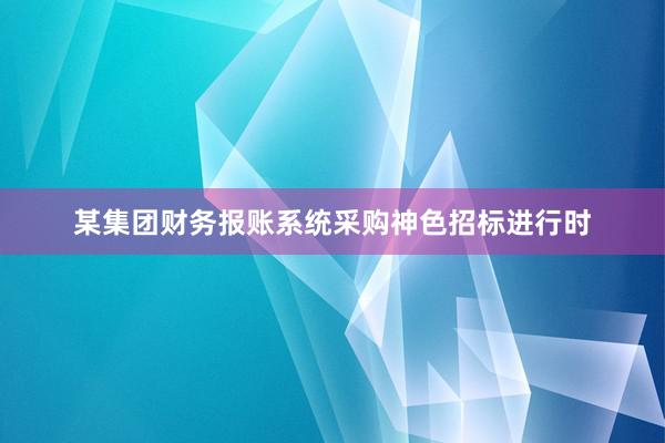 某集团财务报账系统采购神色招标进行时