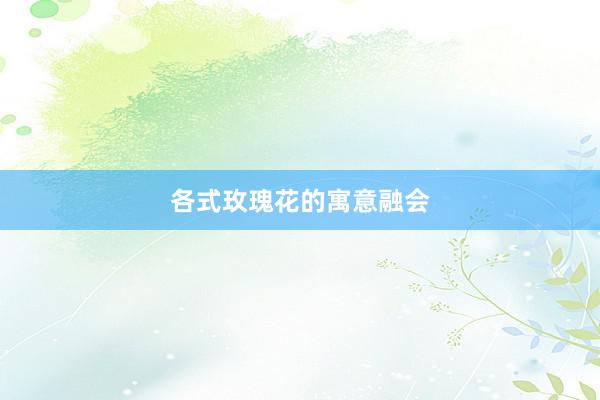 各式玫瑰花的寓意融会